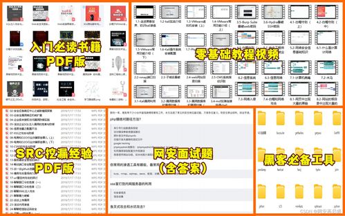 從網絡安全到電子商務技術研發 自學者如何構建復合型技能體系